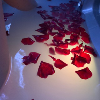 Логотип @lollypups - токсик