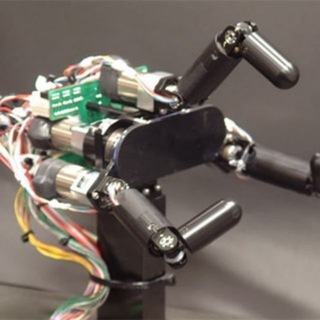 Логотип @lolsbotcatcherbot - Lols Bot