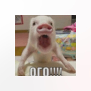 Логотип @lomtishka_chat - 🚨л°мтишка чат🚨