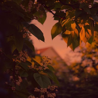 Логотип @lonely_alonn - lonely ☾