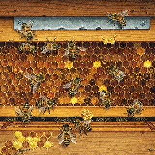 Логотип @lonely_oocyte - Одинокий ооцит эволюции