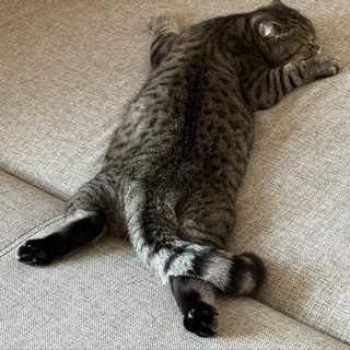 Логотип @lookingforsmth0 - Не советую читать