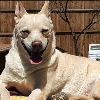 Логотип @lora_mp_angel - Lora_mp_angel