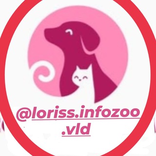 Логотип @lorissinfozoovld - ИНФО.ЗОО.Прим.Край