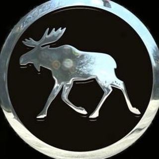 Логотип @losevpp - Losev_notes