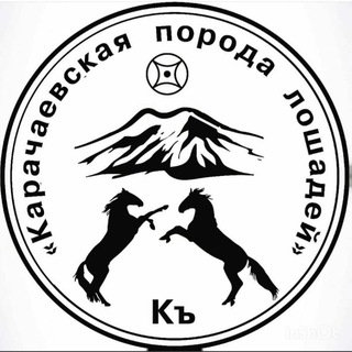 Логотип @loshadi_karachaya_09 - Ioshadi_karachaya_09