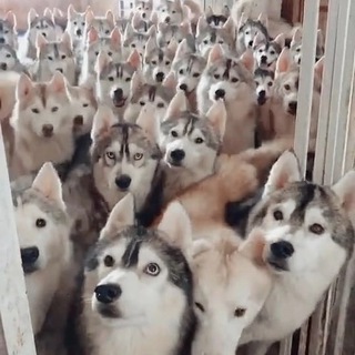 Логотип @lost_manga_chat - Бар "Заблудшая манга". Chat