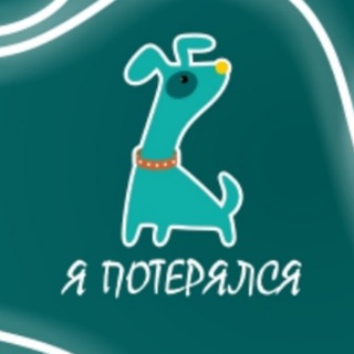 Логотип @lostanimals96_chat - ЧАТ "Я ПОТЕРЯЛСЯ" Екатеринбург и СО