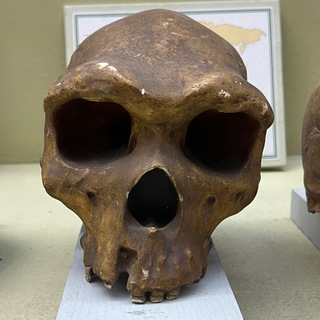 Логотип @lostanklav - Час історій