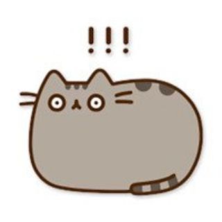 Логотип @lostcatskyiv - Загублені котики КИЇВ