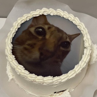 Логотип @lotokpetrovicha - Лоток Петровича🐱