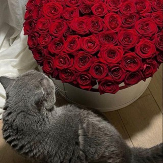 Логотип @love22lovee22 - 22love