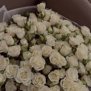 Логотип @love_kvitka - kvitka