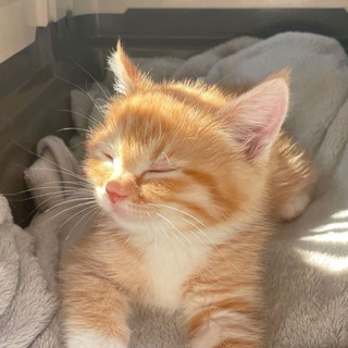 Логотип @love_love_youu - люблю