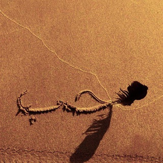 Логотип @love_ssunna - 𝙻𝙾𝚅𝙴_𝚂𝚂𝚄𝙽𝙽𝙰