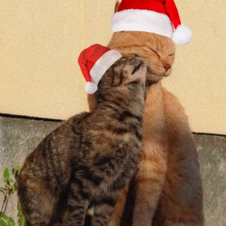 Логотип @love_thxs_public - [public] люблю