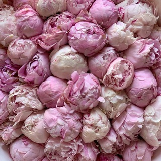 Логотип @loveeyou6 - Мусульманка дома