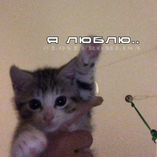 Логотип @lovefromlisa - я люблю