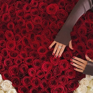 Логотип @loveibvaa - LOVE