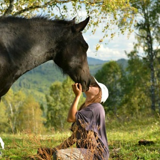 Логотип @loveidaho - Алтай - это рай