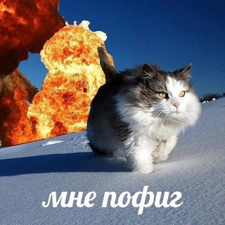 Логотип @loveorhateyou_chat - нас нет