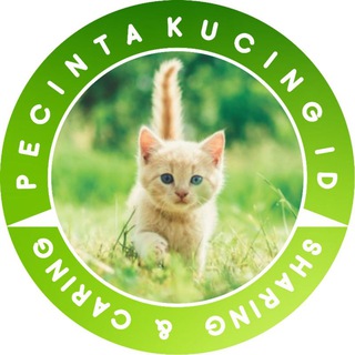 Логотип @lovercatid - Pecinta Kucing ID