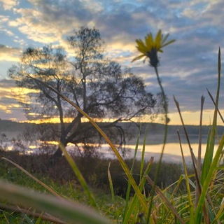 Логотип @loversinlive - Влюбленные в жизнь. Литературный канал