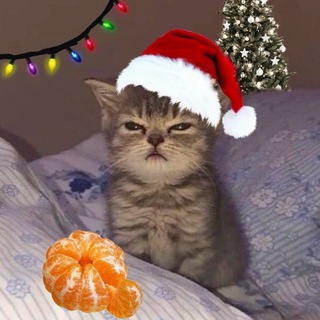 Логотип @loveterok - люблю