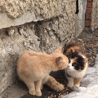 Логотип @lovetyuopssf - солнце | цитаты