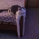 Логотип @low_content - контент низкого качества