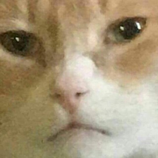 Логотип @lowkek - low kek