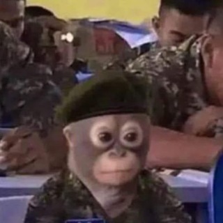 Логотип @lowlifecrypto - Long Life