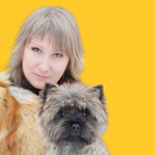 Логотип @lsqkennel - Записки Керновода LSq© или домовой журнал 🐾