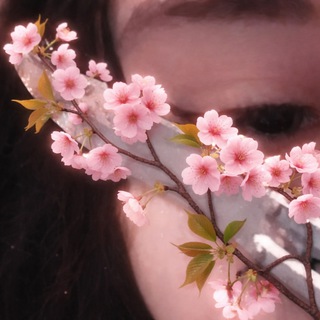 Логотип @lssqqqq - lssqqqq