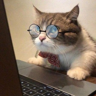 Логотип @lt_memes - IT MEMES