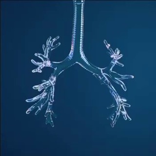 Логотип @lubijividishi - Вдох-выдох