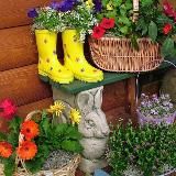 Логотип @lubimaya_dacha - Любимая дача