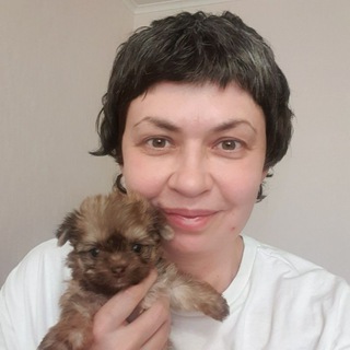 Логотип @lubimyorkovru - Любим Йорков Чат