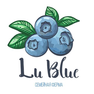 Логотип @lublueberry - Lu_blue berry