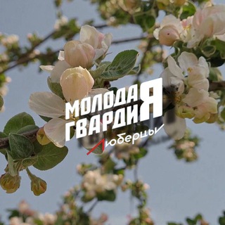 Логотип @lubmger - Молодая Гвардия | Люберцы