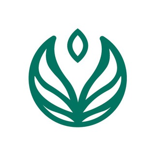 Логотип @luceverdesmeraldo - Luce Verde Smeraldo ✨💚