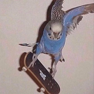 Логотип @luchevaya - Лучевая