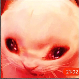 Логотип @luchshieizluchshih - НАЗВАНИЯ НЕТ. Chat