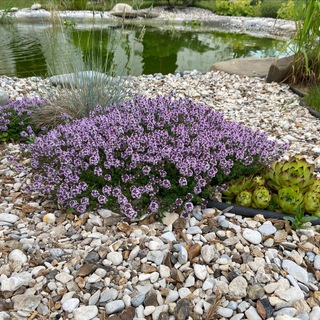 Логотип @lucien_ds - Ландшафт Дизайн