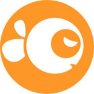 Логотип @luckyfishclub - Luckyfish.io| The Club 🐟