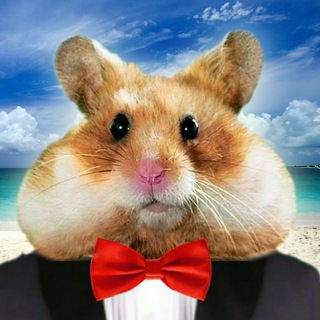 Логотип @luckyhammster - Везучий хомяк 🐹