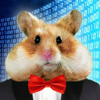 Логотип @luckyhammster_chat - Везучие хомячки 🐹🔫