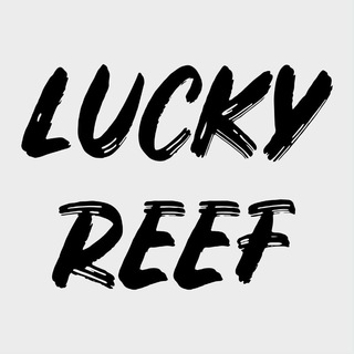 Логотип @luckyreef_partner - LUCKYREEF™ opt/drop - КУПАЛЬНИКИ, ХУДИ, СВИТШОТЫ, МАЙКИ, РУБАШКИ, КЕПКИ