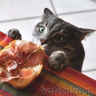 Логотип @ludmula_cook - Людмила Плеханова Готовим вместе (Еда. Рецепты. ЮМОР)