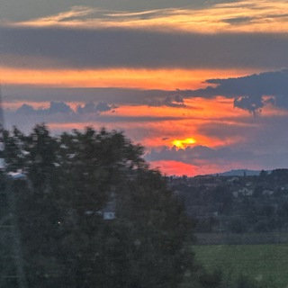 Логотип @ludovicaiacovacci - Ludovica Iacovacci